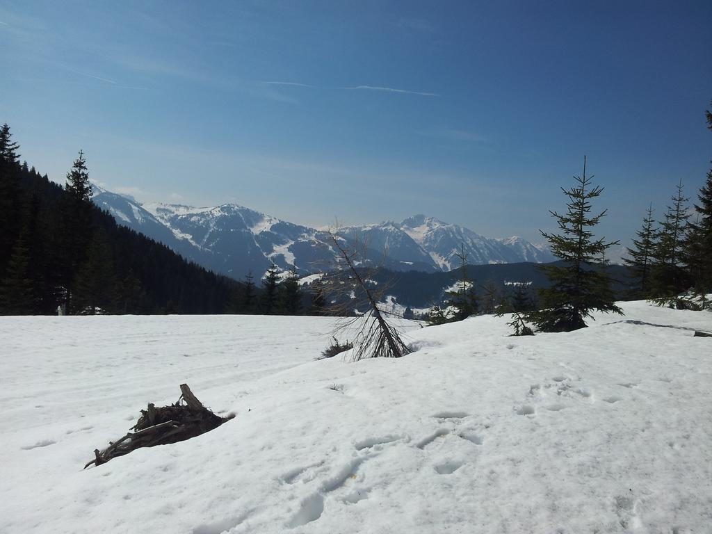 Appartement Hubertus Flachau Ruang foto
